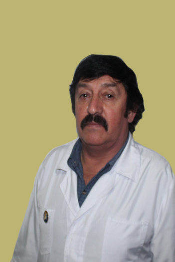 BERNAL CASTILLO